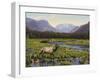 Meadows of Grand Lake, Colorado-John Zaccheo-Framed Giclee Print