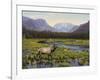 Meadows of Grand Lake, Colorado-John Zaccheo-Framed Giclee Print