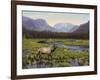 Meadows of Grand Lake, Colorado-John Zaccheo-Framed Giclee Print