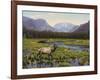 Meadows of Grand Lake, Colorado-John Zaccheo-Framed Giclee Print