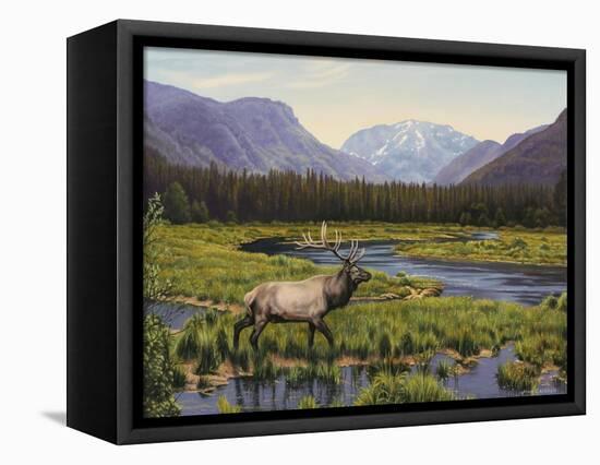 Meadows of Grand Lake, Colorado-John Zaccheo-Framed Stretched Canvas