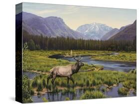 Meadows of Grand Lake, Colorado-John Zaccheo-Stretched Canvas