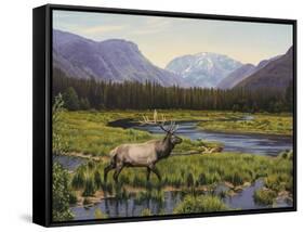Meadows of Grand Lake, Colorado-John Zaccheo-Framed Stretched Canvas