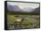 Meadows of Grand Lake, Colorado-John Zaccheo-Framed Stretched Canvas