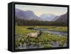 Meadows of Grand Lake, Colorado-John Zaccheo-Framed Stretched Canvas