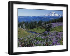 Meadows with Mt. Rainier in distance, Washington Mt. Adams Wilderness, USA-Charles Gurche-Framed Premium Photographic Print