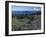 Meadows with Mt. Rainier in distance, Washington Mt. Adams Wilderness, USA-Charles Gurche-Framed Premium Photographic Print