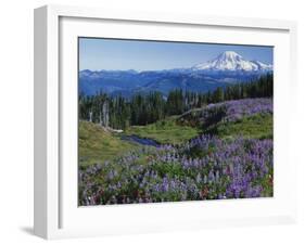 Meadows with Mt. Rainier in distance, Washington Mt. Adams Wilderness, USA-Charles Gurche-Framed Premium Photographic Print