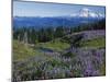 Meadows with Mt. Rainier in distance, Washington Mt. Adams Wilderness, USA-Charles Gurche-Mounted Premium Photographic Print