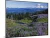 Meadows with Mt. Rainier in distance, Washington Mt. Adams Wilderness, USA-Charles Gurche-Mounted Photographic Print