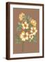 Brown Frame