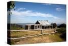 Stretched Canvas