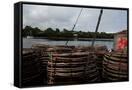 Canvas Black