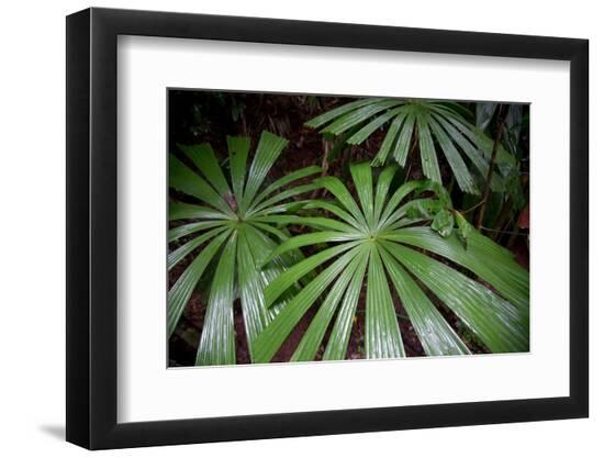 Photo, , large