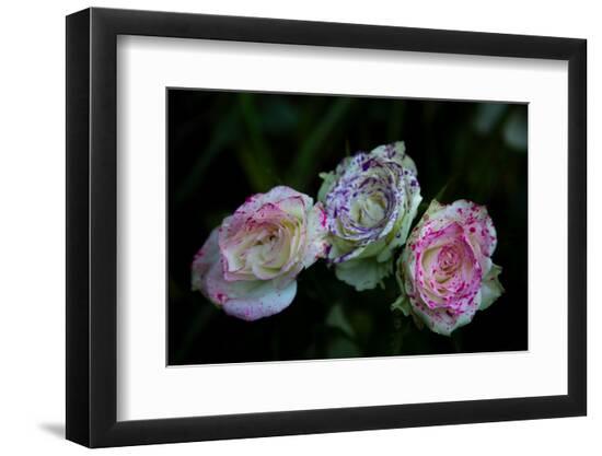 Photo, , large