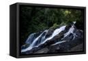 Canvas Black