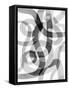 Meander II-Nikki Galapon-Framed Stretched Canvas