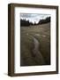 Meander in a Meadow Brook-Klaus Scholz-Framed Photographic Print