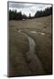 Meander in a Meadow Brook-Klaus Scholz-Mounted Photographic Print