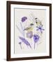 Meander in Violet II-Melissa Wang-Framed Art Print