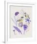 Meander in Violet II-Melissa Wang-Framed Art Print