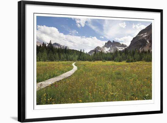 Meander The Meadow-Donald Paulson-Framed Giclee Print