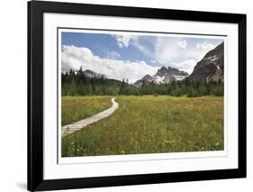 Meander The Meadow-Donald Paulson-Framed Giclee Print