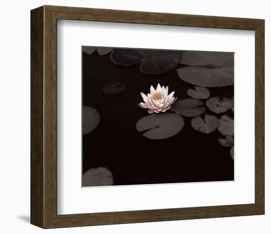 Meandering Lily II-null-Framed Giclee Print