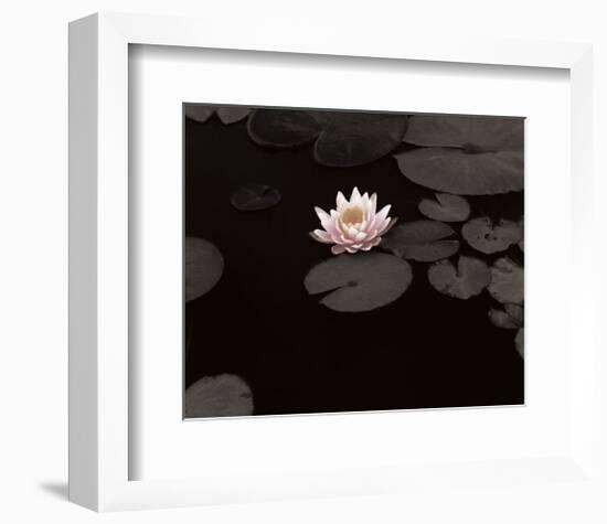 Meandering Lily II-null-Framed Giclee Print