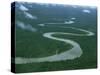 Meandering River, Irian Jaya, Indonesia, Southeast Asia-Leimbach Claire-Stretched Canvas