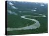 Meandering River, Irian Jaya, Indonesia, Southeast Asia-Leimbach Claire-Stretched Canvas