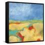 Meandering River-Jan Weiss-Framed Stretched Canvas