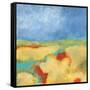 Meandering River-Jan Weiss-Framed Stretched Canvas