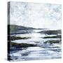 Meandering River-Jason Jarava-Stretched Canvas