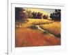 Meandering Stream-Tim Howe-Framed Giclee Print