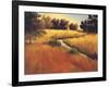 Meandering Stream-Tim Howe-Framed Giclee Print