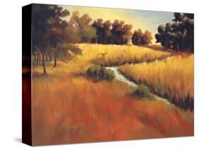 Meandering Stream-Tim Howe-Stretched Canvas