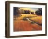 Meandering Stream-Tim Howe-Framed Giclee Print