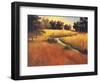 Meandering Stream-Tim Howe-Framed Giclee Print