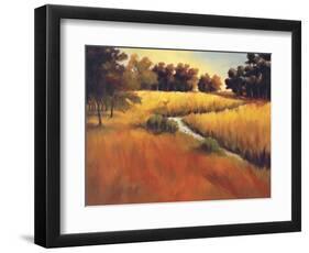 Meandering Stream-Tim Howe-Framed Giclee Print