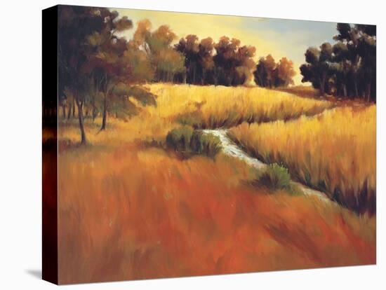 Meandering Stream-Tim Howe-Stretched Canvas