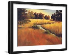 Meandering Stream-Tim Howe-Framed Giclee Print