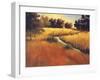 Meandering Stream-Tim Howe-Framed Giclee Print