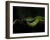 Meandering-Ferdinando Valverde-Framed Photographic Print