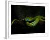 Meandering-Ferdinando Valverde-Framed Photographic Print