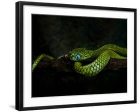 Meandering-Ferdinando Valverde-Framed Photographic Print