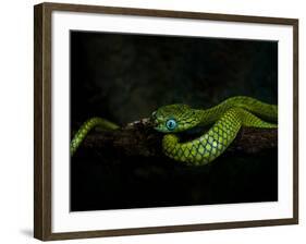 Meandering-Ferdinando Valverde-Framed Photographic Print