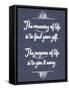 Meaning of Life Distresed 1-Leslie Wing-Framed Stretched Canvas