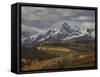 Mears Peak with Snow and Yellow Aspens in the Fall-James Hager-Framed Stretched Canvas