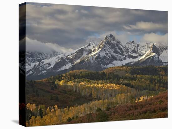 Mears Peak with Snow and Yellow Aspens in the Fall-James Hager-Stretched Canvas